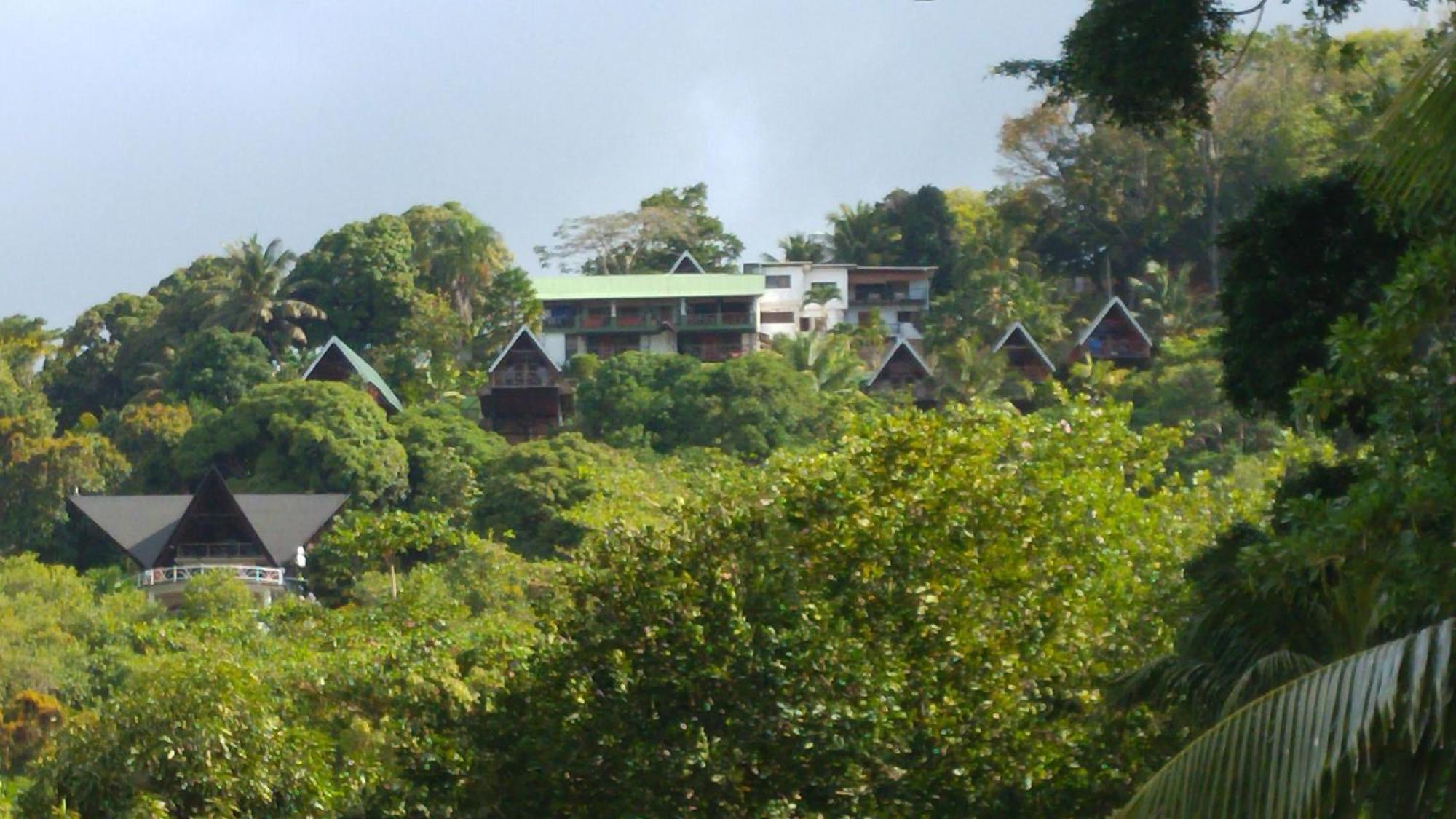 Mango Lodge Anse Volbert Village Eksteriør bilde