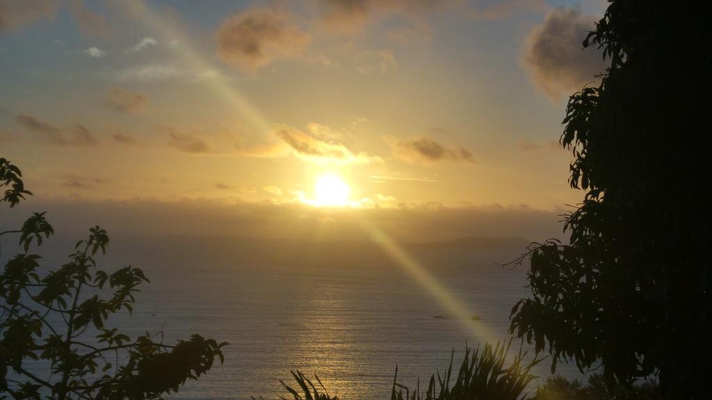 Mango Lodge Anse Volbert Village Eksteriør bilde